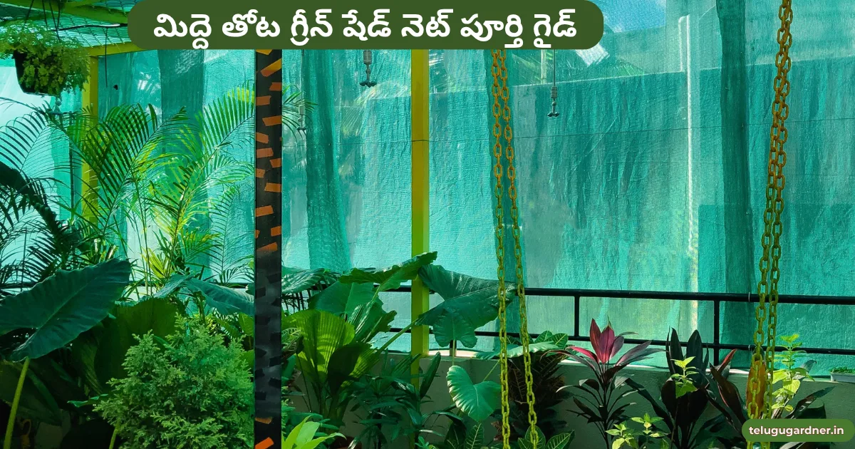 Green Shade Net for Terrace Garden Telugu