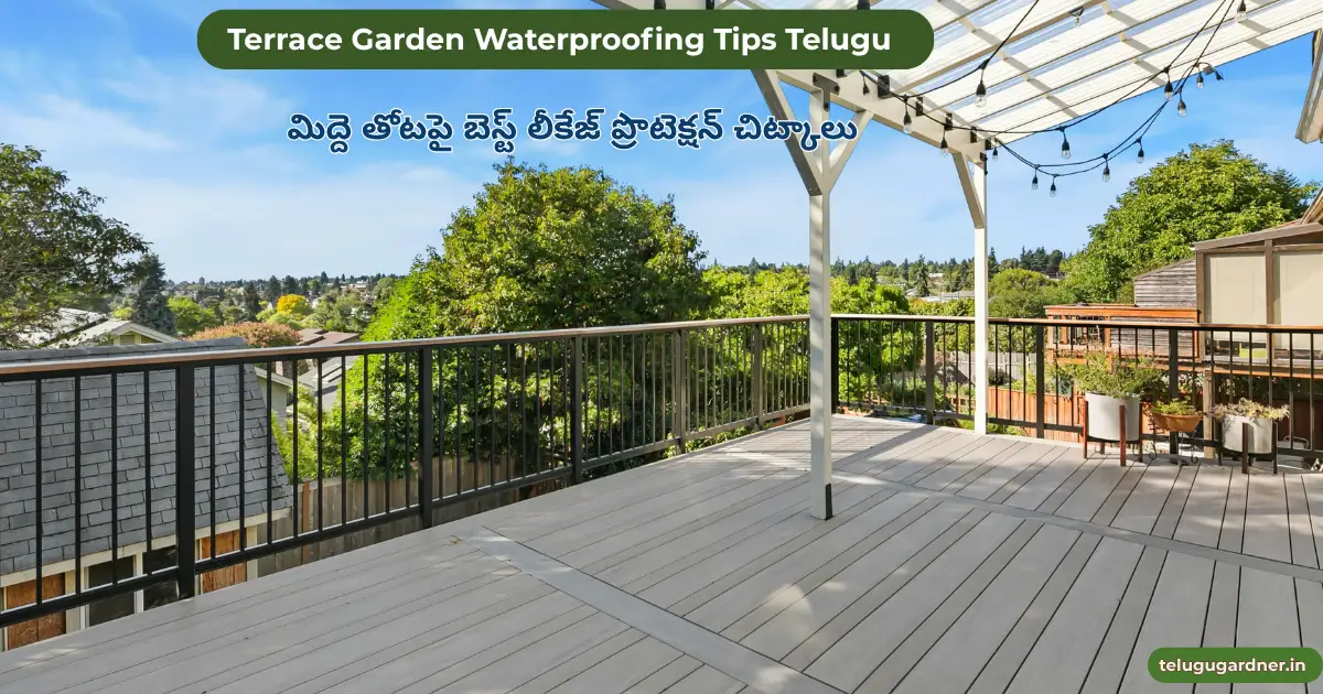 Terrace Garden Waterproofing Tips Telugu